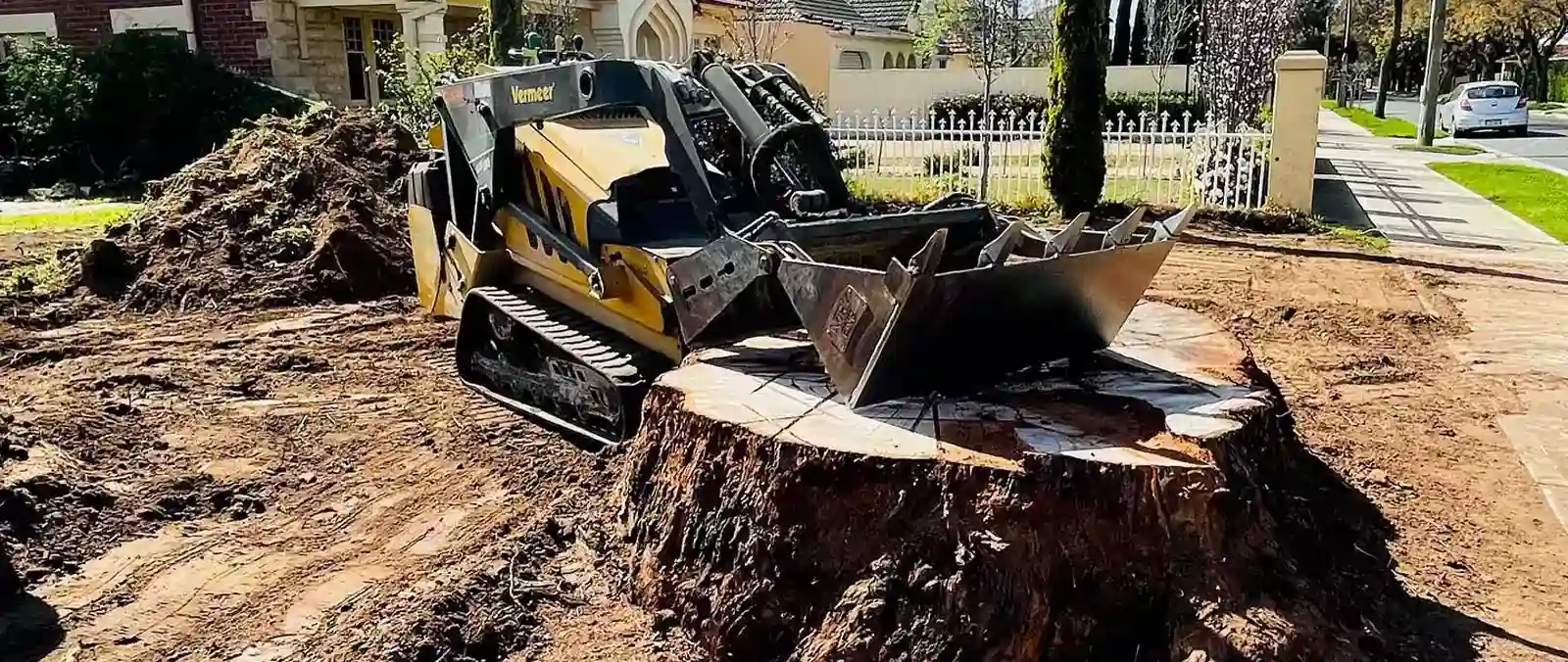 Tree and Stump removal services in Adelaide