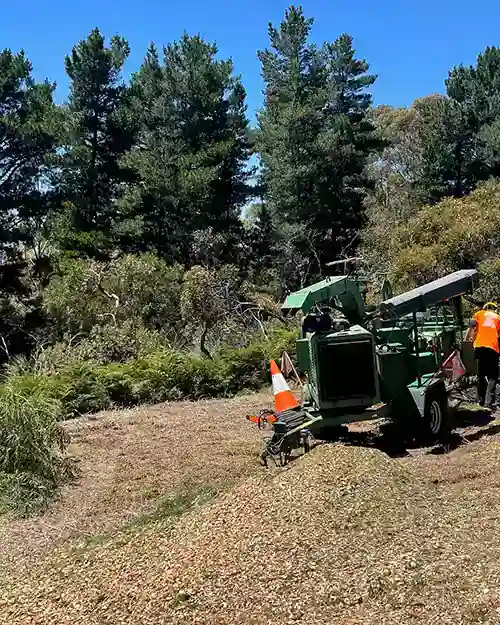 All Purpose Tree Services in Adelaide