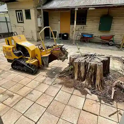 All Purpose Tree Services in Adelaide